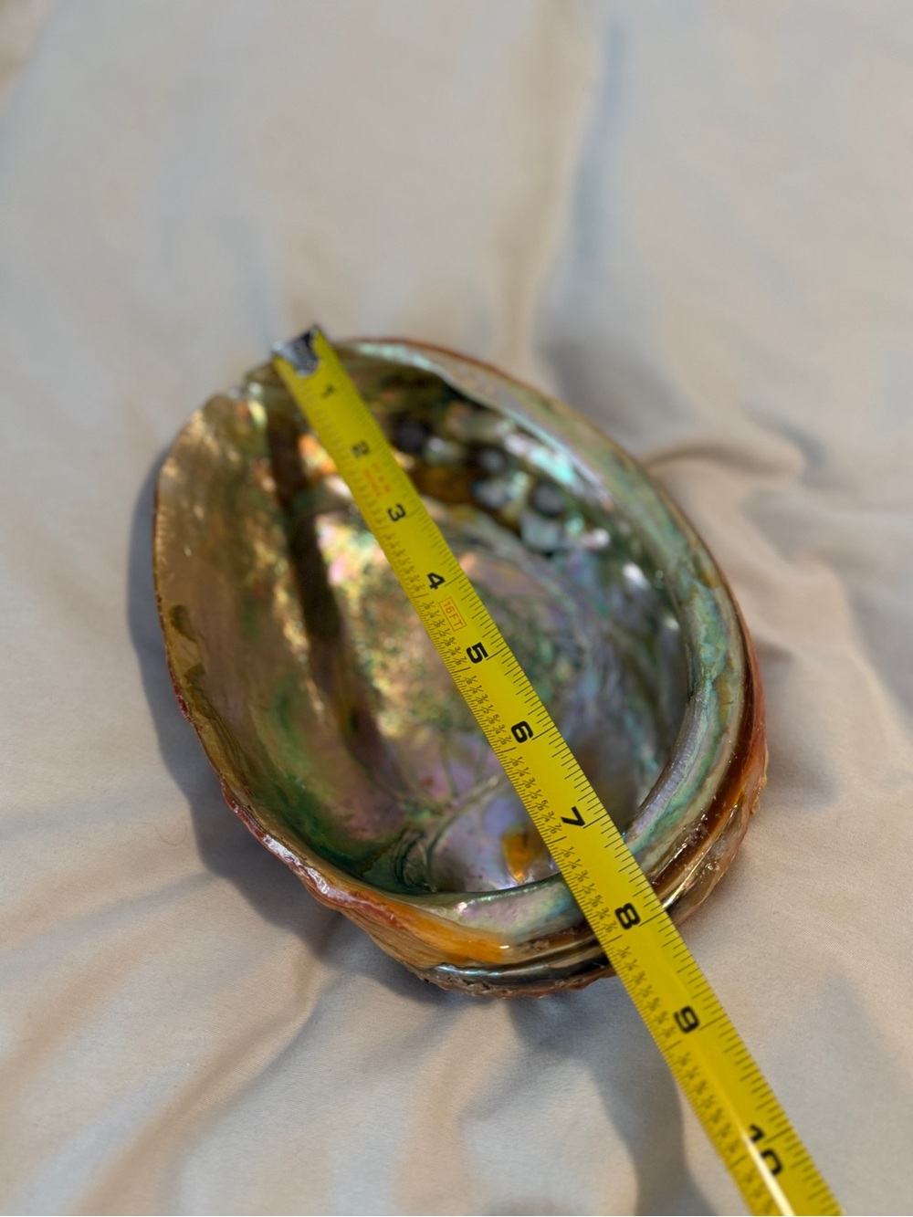 Large Vintage Red Abalone Seashell Mother of Pearl Shell 6" X 8" TRINKET DISH - Picture 4 of 8